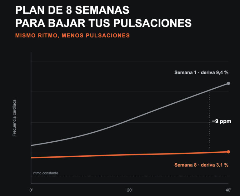 plan de 8 semanas para bajar pulsaciones