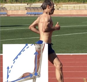 Biomecánica de la rodilla al correr: flexión, extensión y rotación